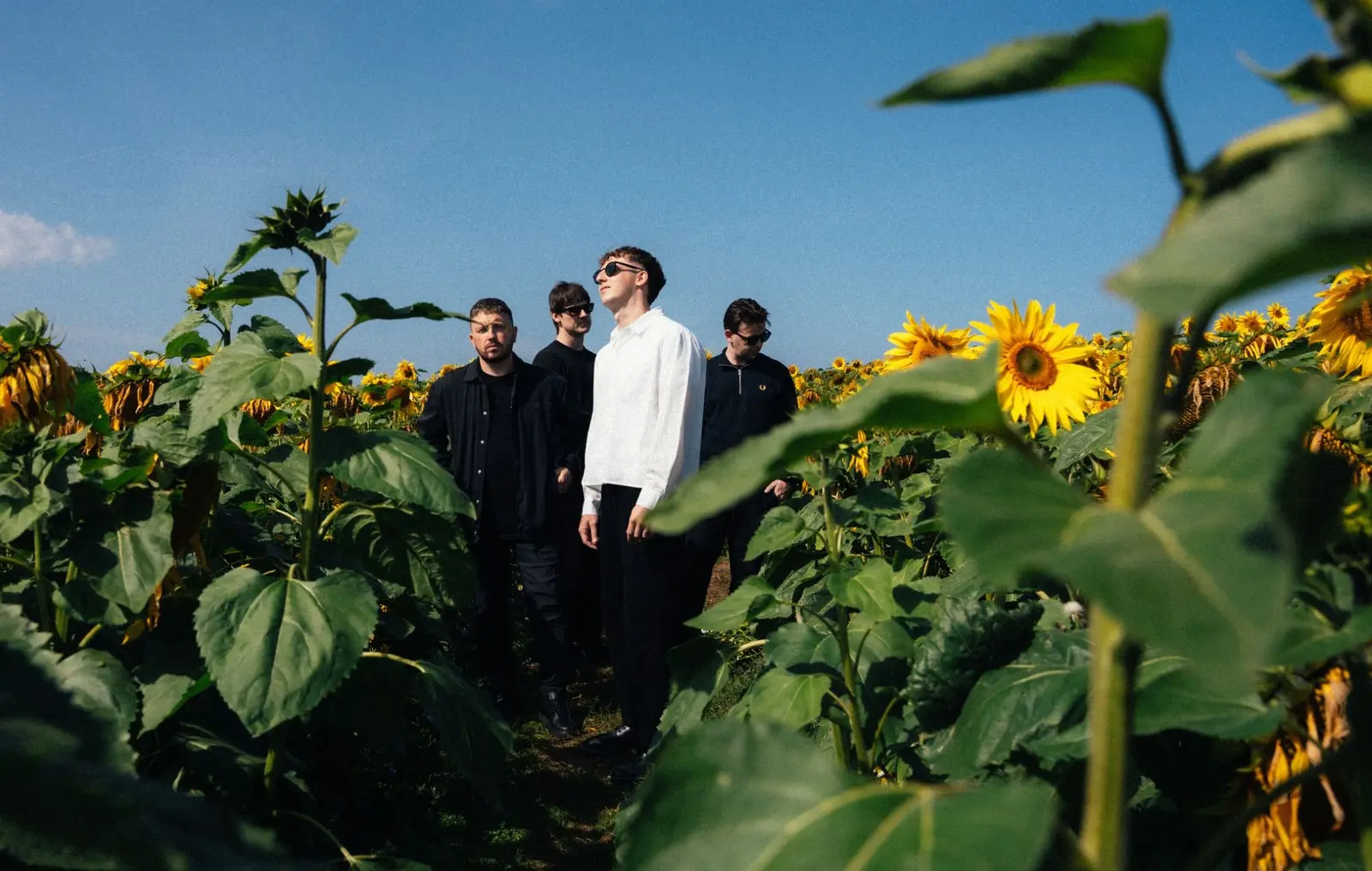 The Snuts lansează albumul 'Joy In Short Moments': muzică pentru sănătate mintală